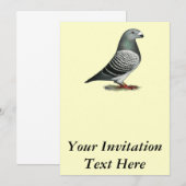 Invitation Pigeon Show Racer Blue Check (Devant / Derrière)