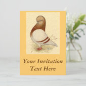 Invitation Pigeon Tumbler :  LFCL Mealy (Debout devant)