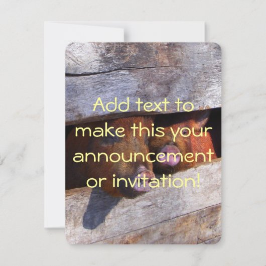 Invitation Piggies d'observation de la paire de stylo (Devant)