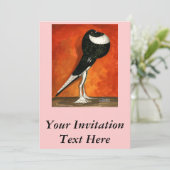Invitation Pigmy Pouter Pigeon Black Pied (Debout devant)