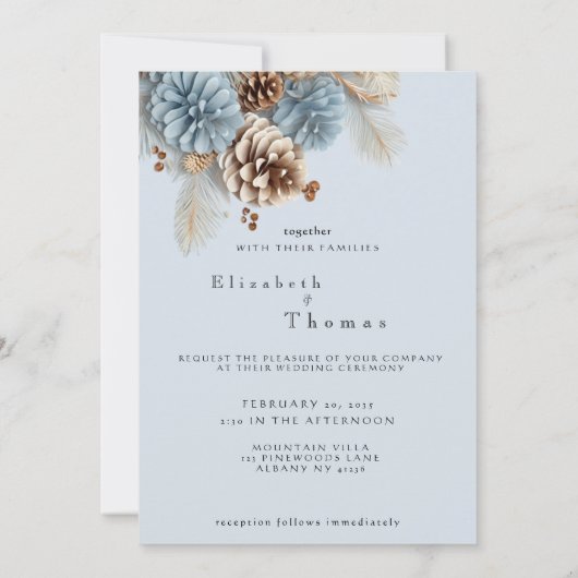 Invitation Pine d'hiver cônes moderne bleu Brown blanc (Dos)