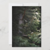 Invitation Pine Tree Forêt rustique Bois de mariage Invitatio (Dos)