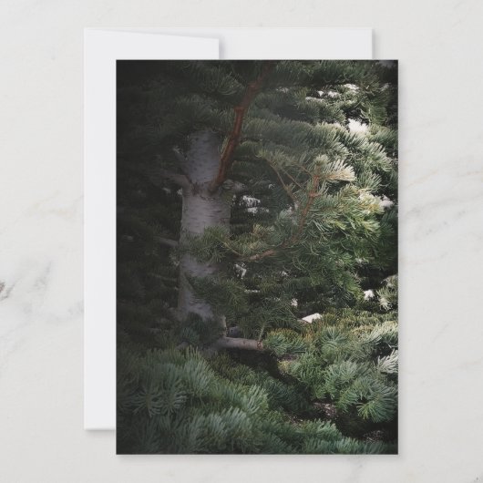 Invitation Pine Tree Forêt rustique Bois de mariage Invitatio (Dos)