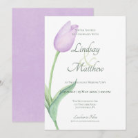 Pink Tulip Solo Purple Moderne