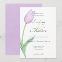 Pink Tulip Solo Purple Moderne
