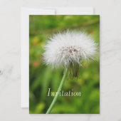 Invitation Pissenlit (Devant)