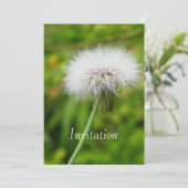 Invitation Pissenlit (Debout devant)