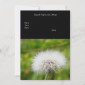 Invitation Pissenlit (Dos)
