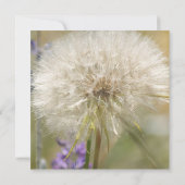 Invitation Pissenlit de la masse d'anniversaire de (Dos)