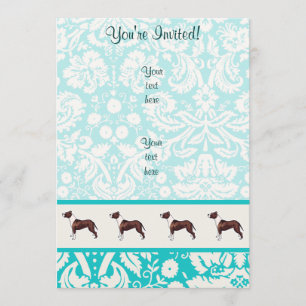 Invitation Pitbull ; mignon