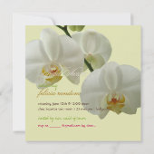 Invitation Pix-Dezines orchidées/phalaenopsis (Dos)