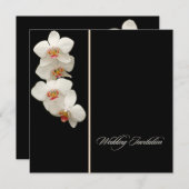 Invitation Pix-Dezines orchidées/phalaenopsis (Devant / Derrière)