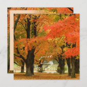 Invitation PixDezines dans les bois, événements mariages de a (Devant / Derrière)