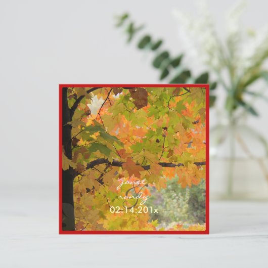 Invitation PixDezines In the Woods 2, événements do-it-yourse (Debout devant)