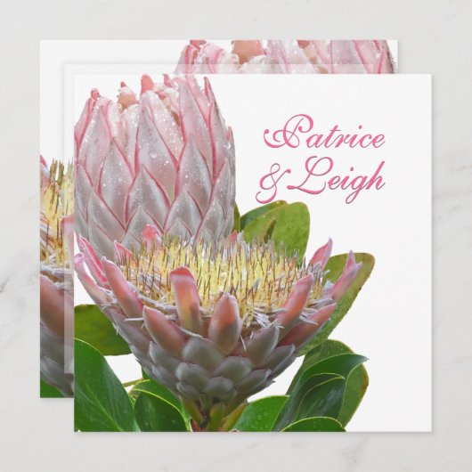 Invitation PixDezines maui protéa rose pâle/do-it-yourself fr (Devant / Derrière)