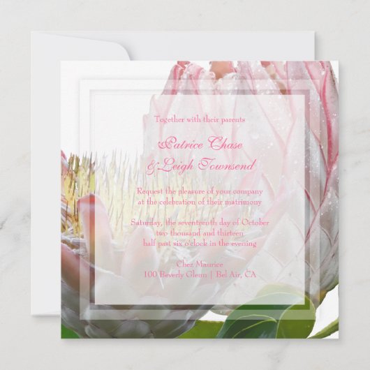 Invitation PixDezines maui protéa rose pâle/do-it-yourself fr (Dos)