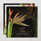 Invitation PixDezines OISEAU DE PARADISE/DO-IT-YOURSELF coule (Devant / Derrière)