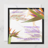 Invitation PixDezines OISEAU DE PARADISE/DO-IT-YOURSELF coule (Dos)
