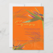 Invitation PixDezines OISEAU DE PARADISE/DO-IT-YOURSELF coule (Dos)