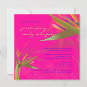 Invitation PixDezines OISEAU DE PARADISE/DO-IT-YOURSELF coule (Dos)