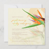 Invitation PixDezines OISEAU DE PARADISE/DO-IT-YOURSELF coule (Dos)