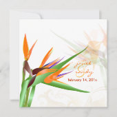 Invitation PixDezines OISEAU DE PARADISE/DO-IT-YOURSELF coule (Devant)