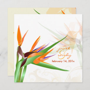 Invitation PixDezines OISEAU DE PARADISE/DO-IT-YOURSELF coule