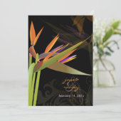 Invitation PixDezines OISEAU DE PARADISE/DO-IT-YOURSELF coule (Debout devant)