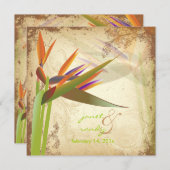 Invitation PixDezines OISEAU VINTAGE DE PARADIS (Devant / Derrière)