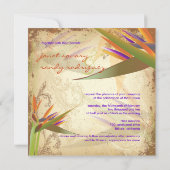 Invitation PixDezines OISEAU VINTAGE DE PARADIS (Dos)