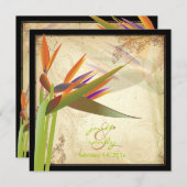 Invitation PixDezines OISEAU VINTAGE DE PARADIS (Devant / Derrière)