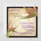 Invitation PixDezines OISEAU VINTAGE DE PARADIS (Dos)