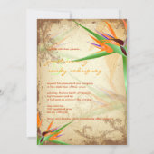 Invitation PixDezines OISEAU VINTAGE DE PARADIS (Dos)