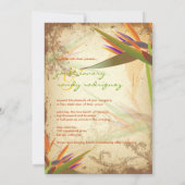 Invitation PixDezines OISEAU VINTAGE DE PARADIS (Dos)