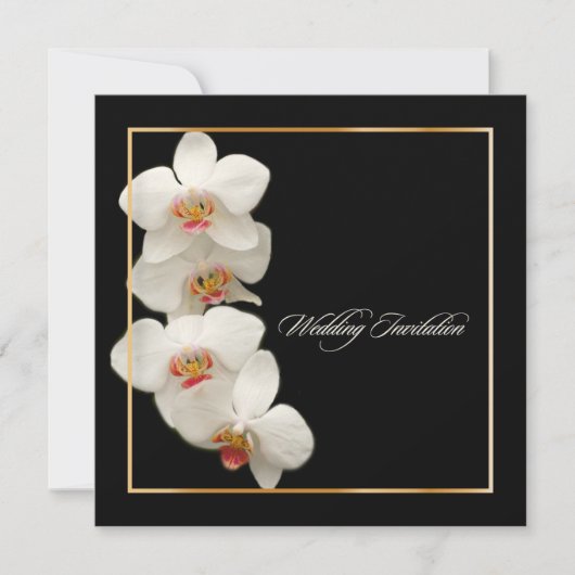 Invitation PixDezines orchidées/phalaenopsis (Devant)