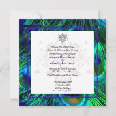 Invitation PixDezines paon plumes/aqua/turquoise (Dos)