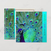 Invitation PixDezines paon plumes/aqua/turquoise (Devant / Derrière)