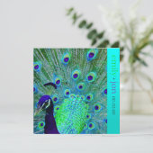 Invitation PixDezines paon plumes/aqua/turquoise (Debout devant)