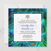 Invitation PixDezines paon plumes/aqua/turquoise (Dos)