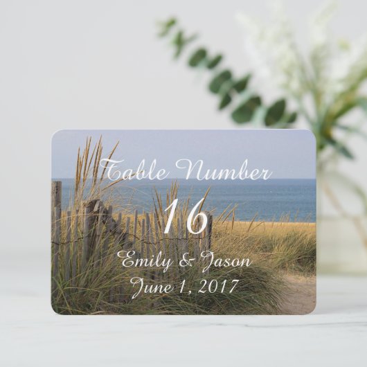 Invitation Plage dans les dunes de sable (Debout devant)