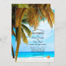 Plage Palm Trees Océan Destination Mariage