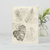 Invitation Plante (Debout devant)