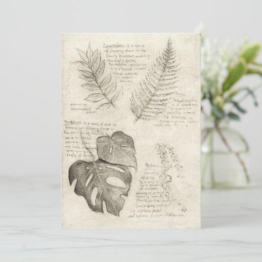 Invitation Plante (Debout devant)