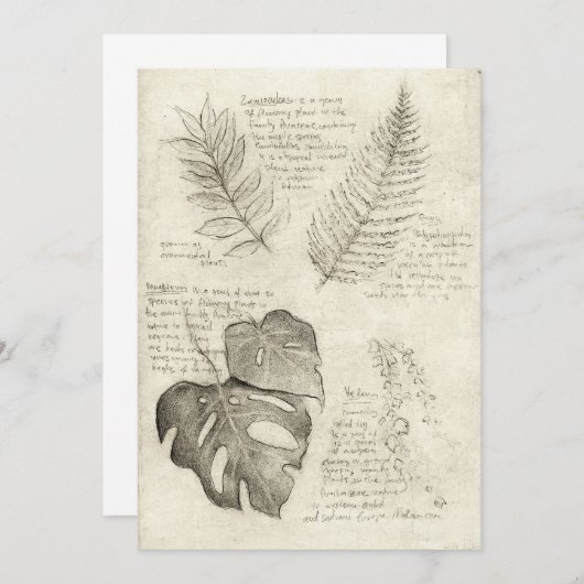 Invitation Plante (Devant / Derrière)