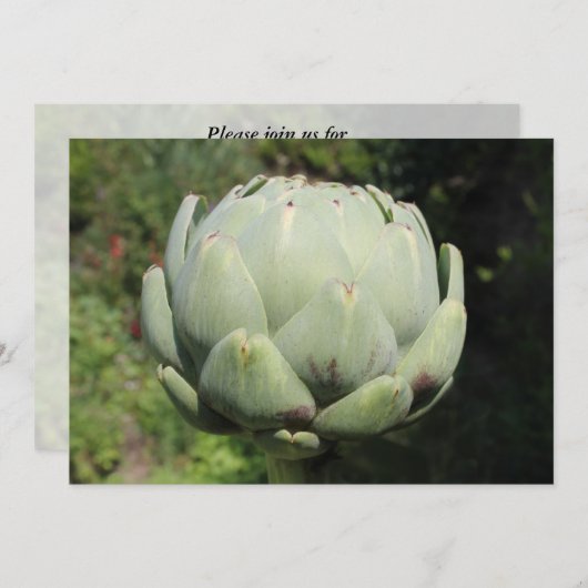 Invitation Plante d'artichaut. (Devant / Derrière)