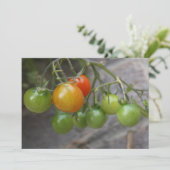Invitation Plante Tomato (Debout devant)