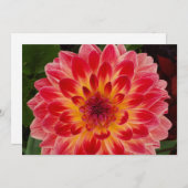 Invitation pliée vide (Devant / Derrière)