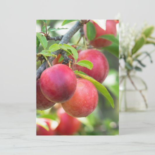 Invitation Plum cerise sur branche (Debout devant)
