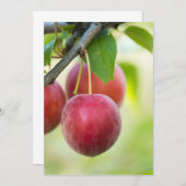 Invitation Plum de cerisier à la branche (Devant / Derrière)