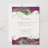 Invitation Plume de Peacock dans les torrents - Réception, Ca (Dos)